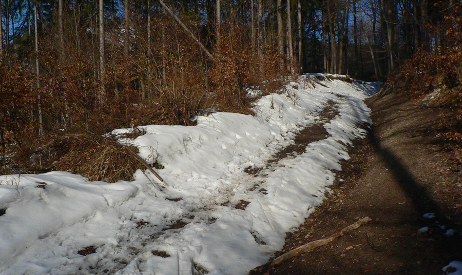 Toto_bola_výnimka,_ale_o_pár_dní_toho_môže_byť_viac