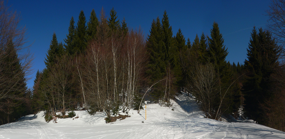 Na_Drgovej_tri_smery_na_výber
