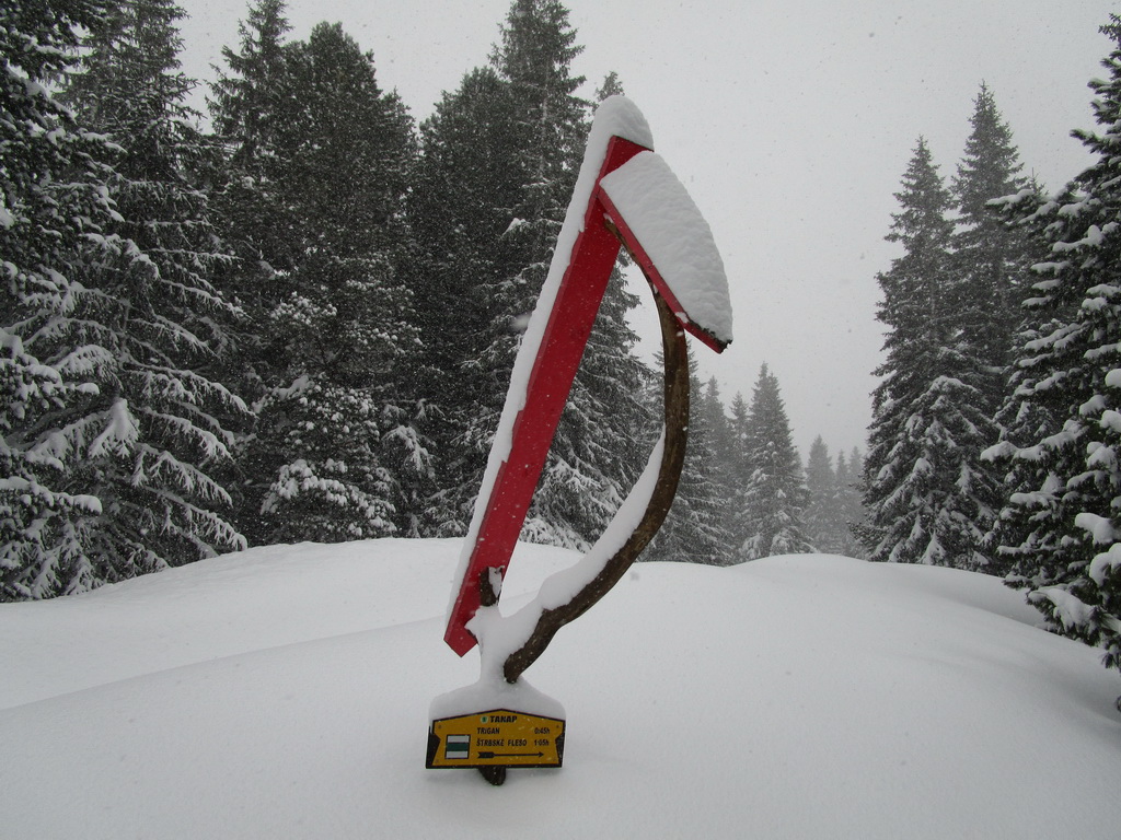 pri_Popradskom_plese