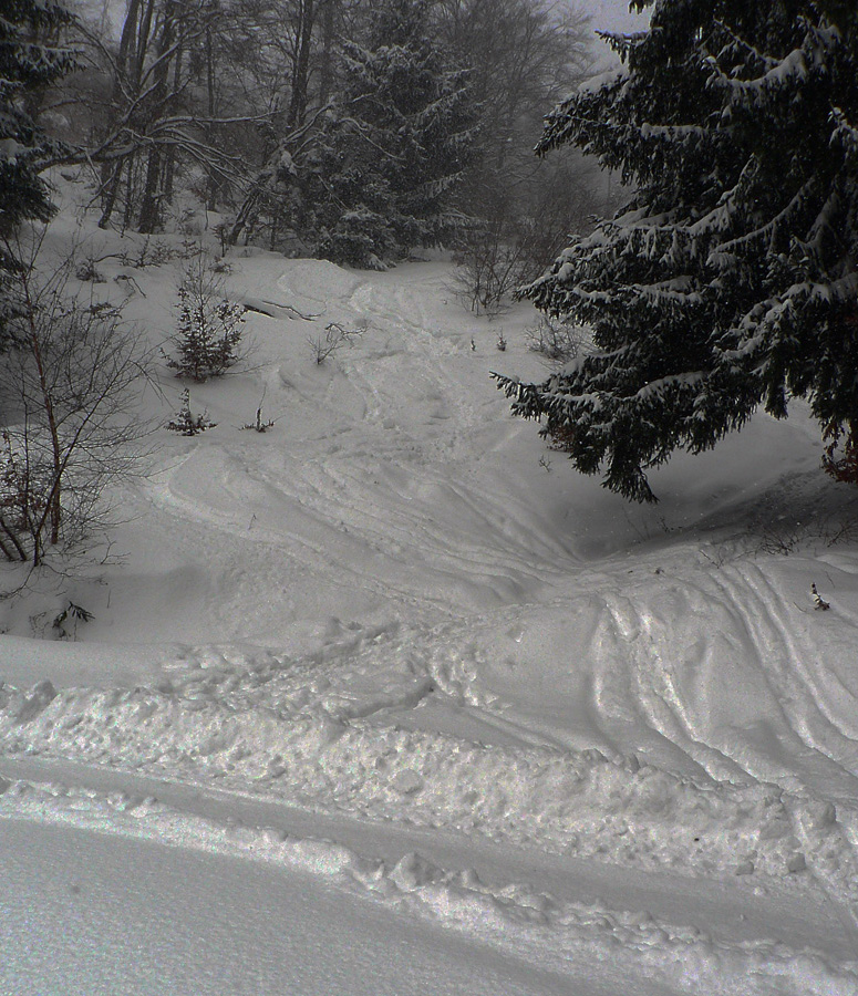 ...nižšie_po_lúkach_až_k_ceste