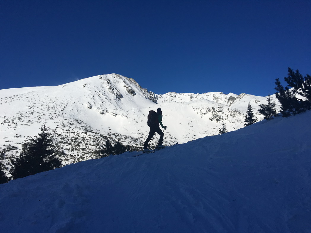 Fero_s_Príslopom_nad_lesom