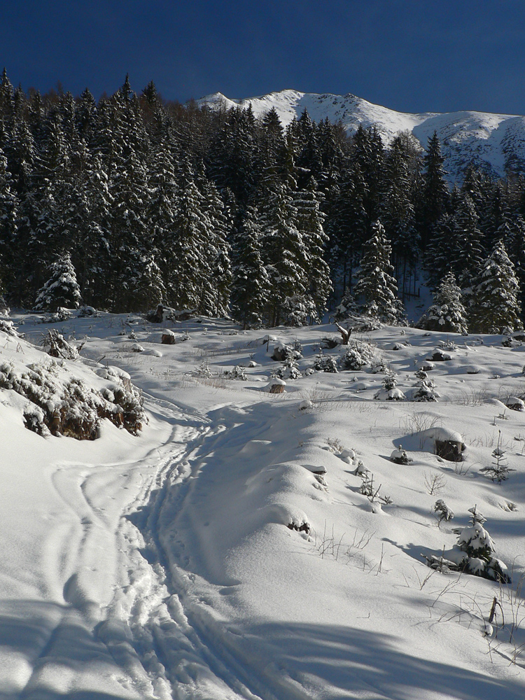 Odbočka_doprava_pod_Baranec,_do_jz_žľabu:_žeby_sa_dalo?