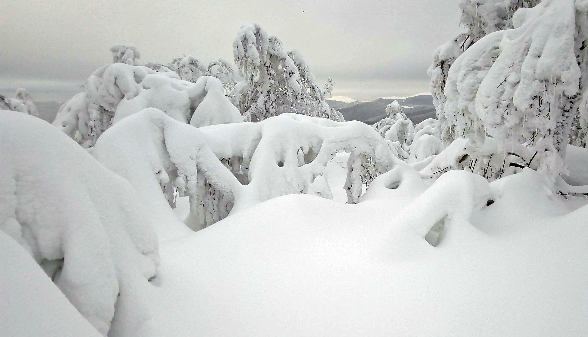 Poloniny_na_skialpoch