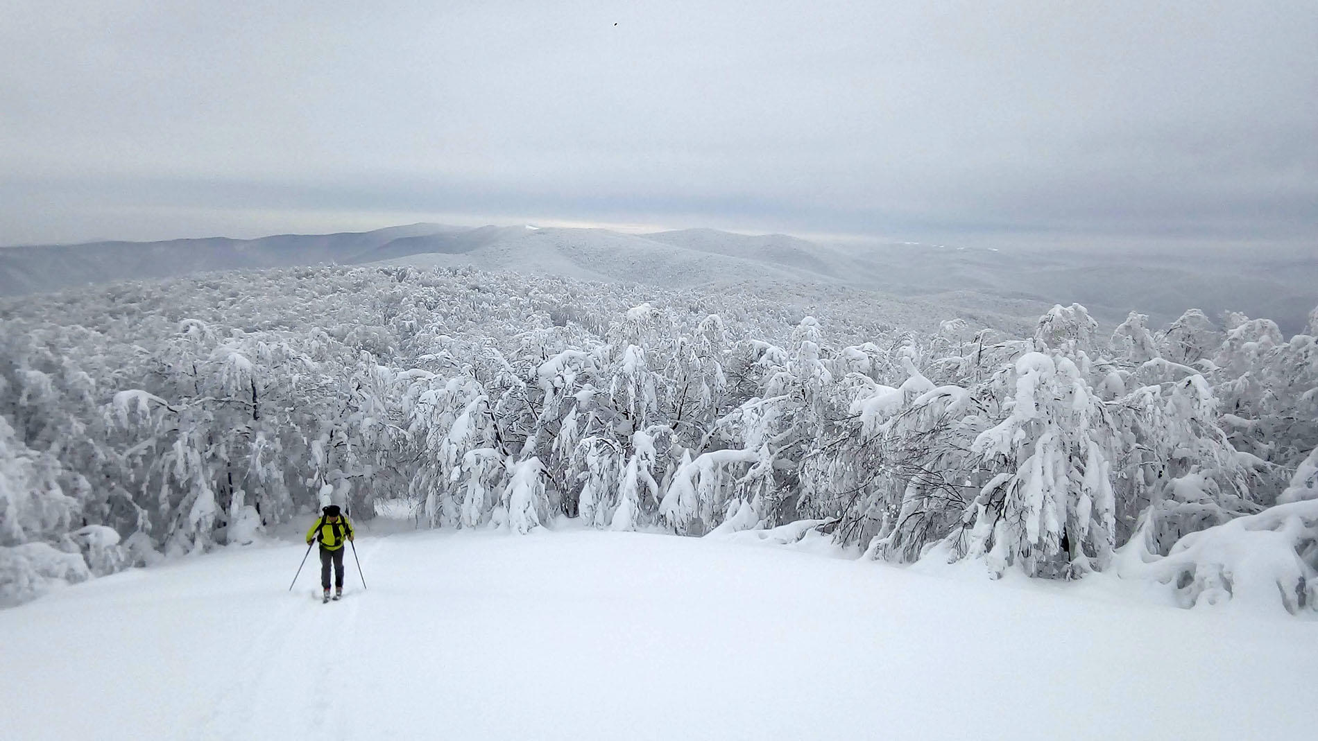 Poloniny_na_skialpoch