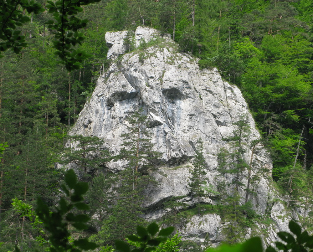 ...sa naskytne aj taký pohľad ...sa_naskytne_aj_taký_pohľad